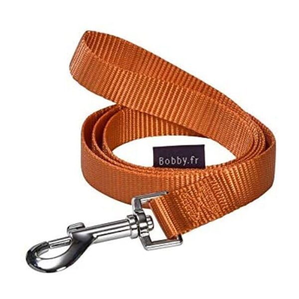 Bobby  Access Collar - Orange / Medium