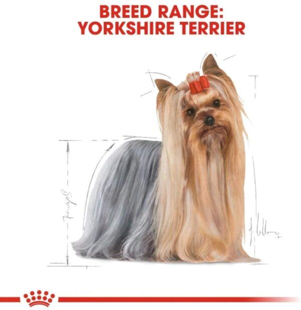 Royal Canin Yorkshire Adult 85g Pouch - Wet Food - Image 5