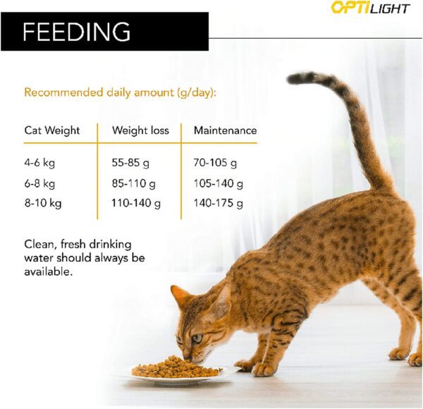 Proplan Dry Cat Food Original Adult Cat Salmon 1.5 Kg - Image 13