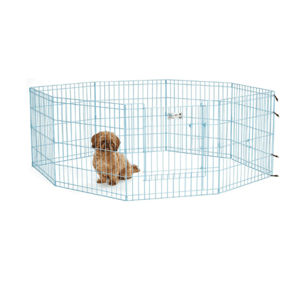 Life Stage Exercise Pen(Blue)