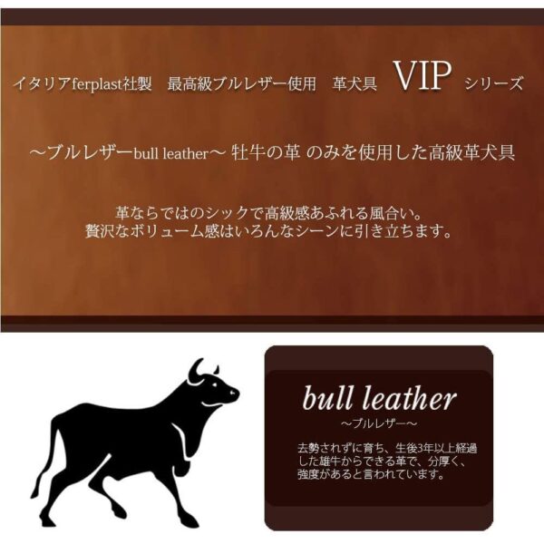 Ferplast VIP C Bull Leather Dog Collar[Color - Brown, Dimension - 22-27cm x 15mm] - Image 4