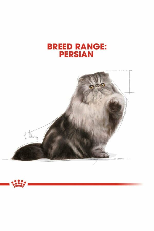 Royal Canin Persian Cat Wet Food-85g - Image 2