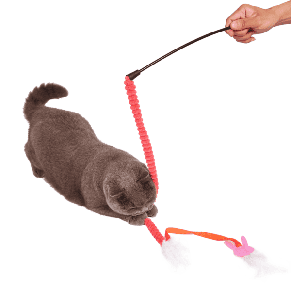 Fofos Cat Teaser Wand Cat Toy Assorted Colors - Image 5