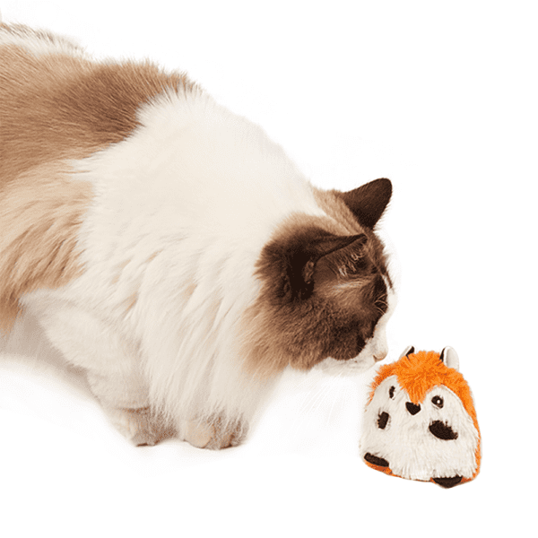 Fofos Fox Floppy Crinkle Cat Toy - Image 3