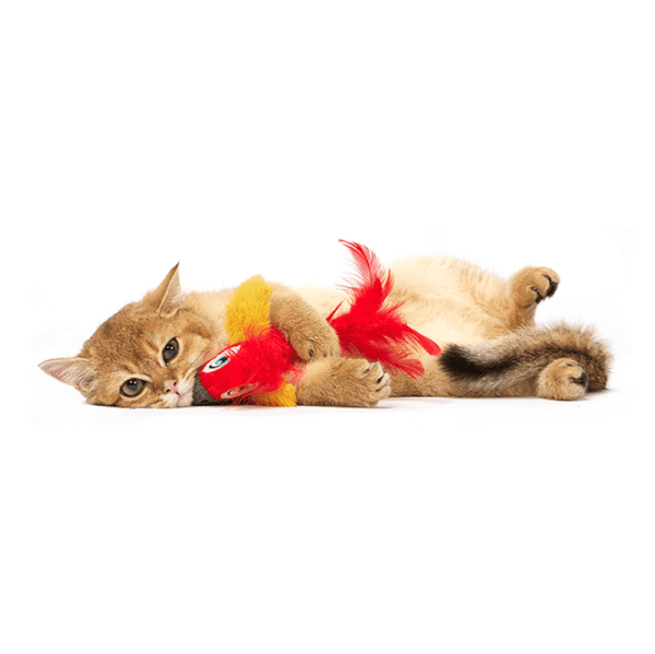 Fofos Sound Chip Parrot With Catnip Balls Cat Toy - Image 5