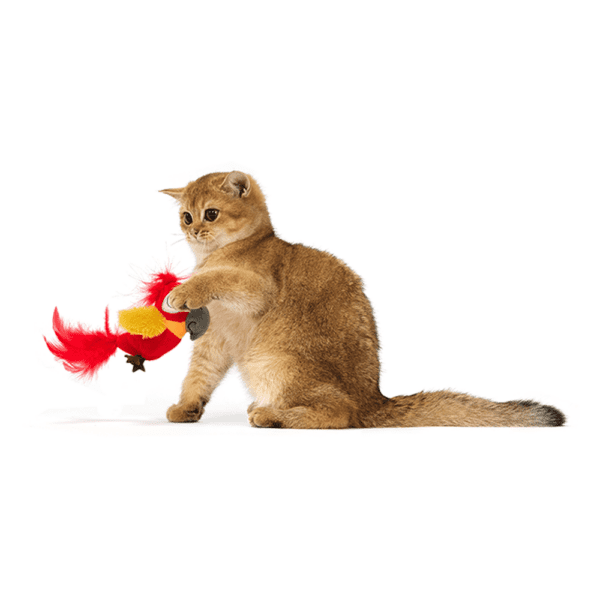 Fofos Sound Chip Parrot With Catnip Balls Cat Toy - Image 4