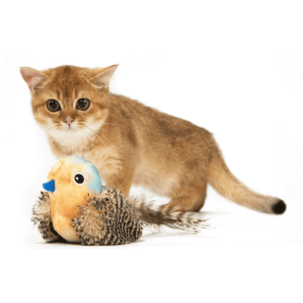 Fofos Sound Chip Blue Bird With Catnip Balls Cat Toy - Image 5