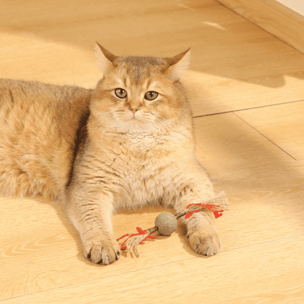 M-PETS Charmy Branch Red Catnip Cat Toy - Image 3