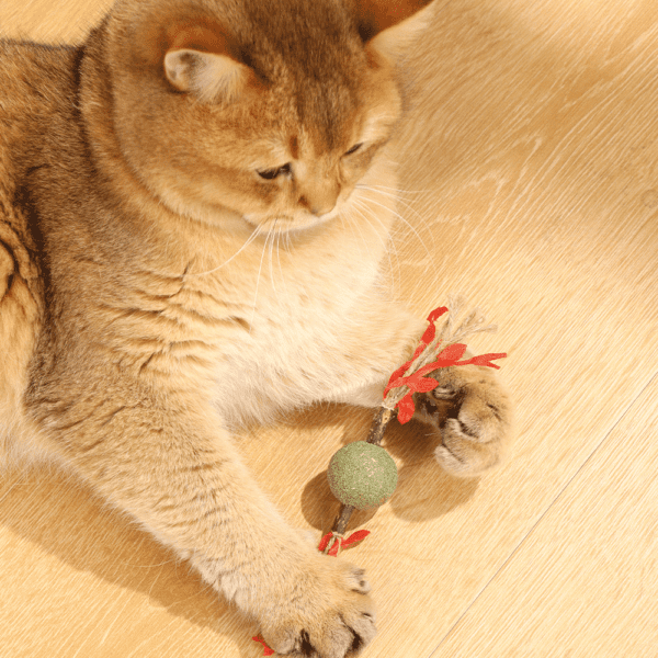 M-PETS Charmy Branch Red Catnip Cat Toy - Image 4