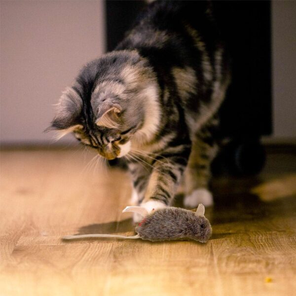 GiGwi Refillable Catnip (Mouse) with 3 catnip teabags in ziplock bag - Image 4