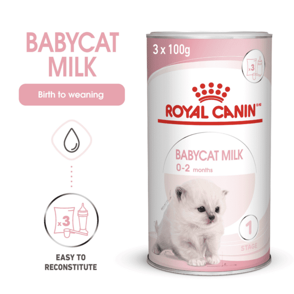 Royal Canin Babycat Milk 300 g - Image 2