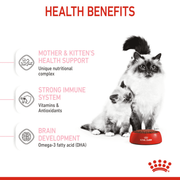 Royal Canin Mother and Babycat 2 KG - Image 3