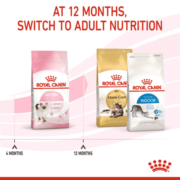 Royal Canin Kitten 4 KG - Image 11