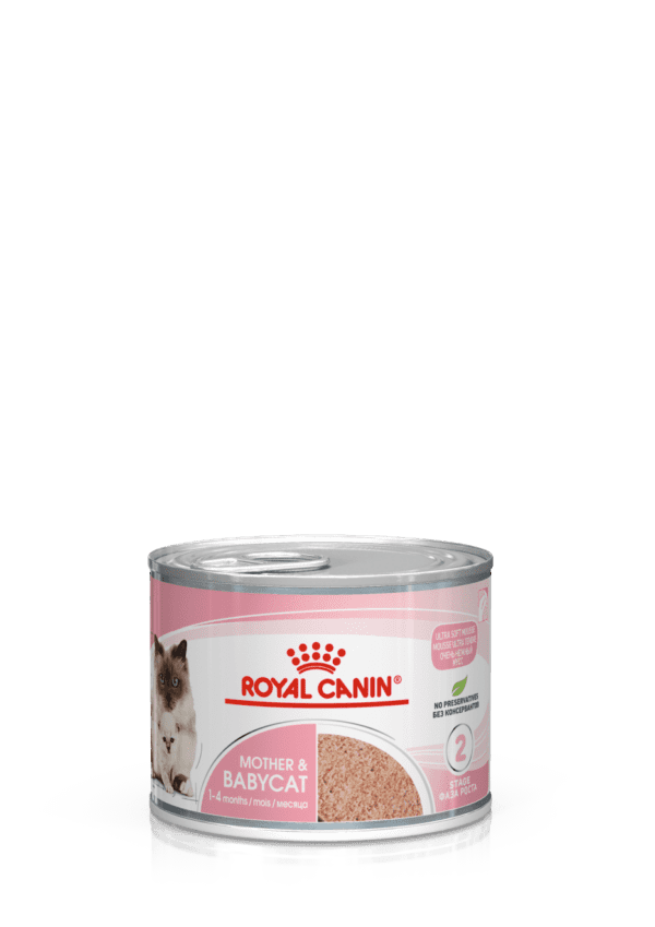 Royal Canin Mother & Babycat Mousse (WET FOOD - Cans) 12 x 195g - Image 9