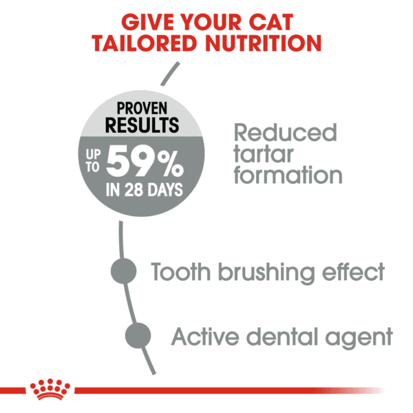 Royal Canin Dental Care 1.5 KG - Image 3