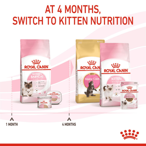 Royal Canin Mother and Babycat 2 KG - Image 11