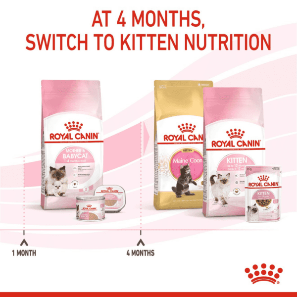 Royal Canin Mother & Babycat  4 KG - Image 11