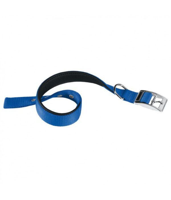 Ferplast Daytona C Nylon Dog Collar[Color - Blue, Dimension - 37-45cm x 25mm]