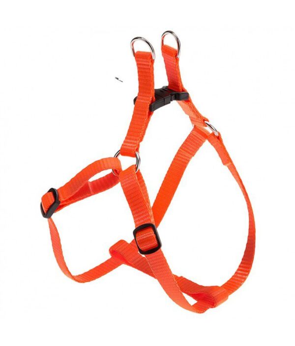 Ferplast Easy P Harness[Color - Orange, Dimension - 28-38cm x 10mm]