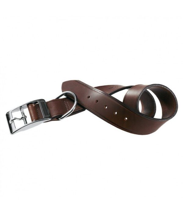 Ferplast VIP C Bull Leather Dog Collar[Color - Brown, Dimension - 22-27cm x 15mm]