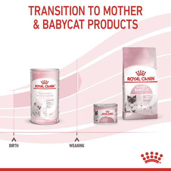 Royal Canin Babycat Milk 300 g - Image 9