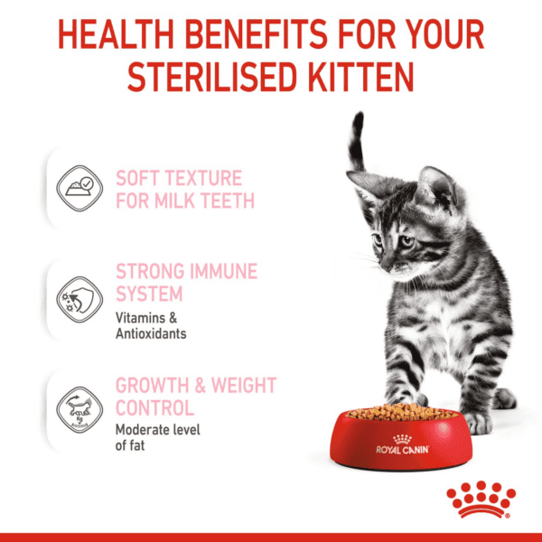 Royal Canin Kitten Sterilised Jelly (WET FOOD - Pouches) 12 x 85g - Image 4