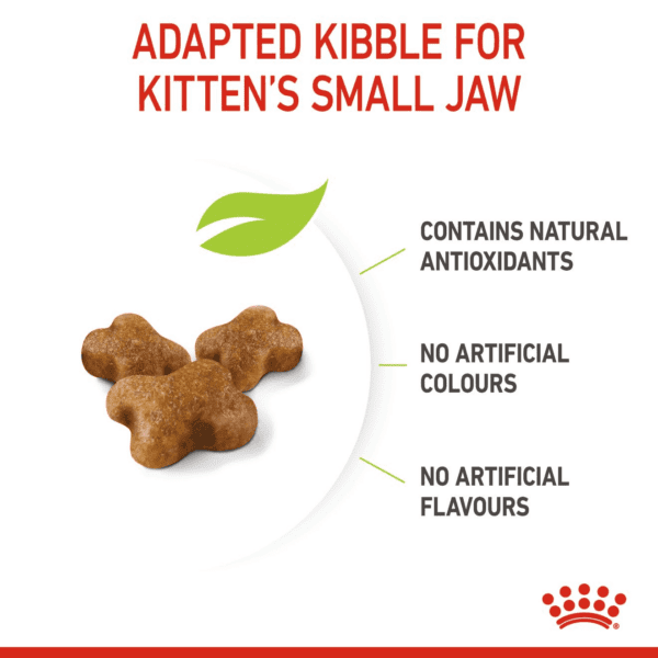 Royal Canin Kitten 400 g - Image 4