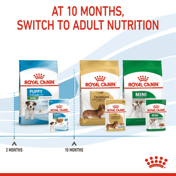 Royal Canin Mini Puppy (WET FOOD - Pouches) 12 x 85g - Image 11