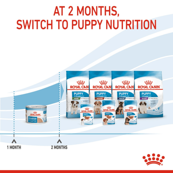 Royal Canin  Canine Health Nutrition Starter Mousse (WET FOOD - Cans) 12 x 195g - Image 10