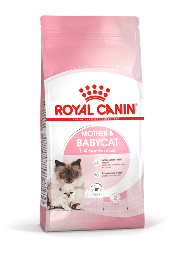 Royal Canin Mother & Babycat  4 KG - Image 2