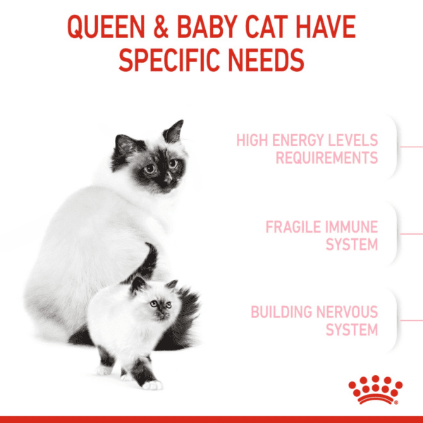 Royal Canin Mother and Babycat 400 g - Image 5