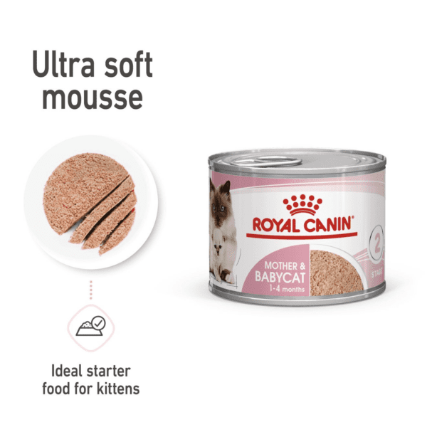 Royal Canin Mother & Babycat Mousse (WET FOOD - Cans) 12 x 195g - Image 8