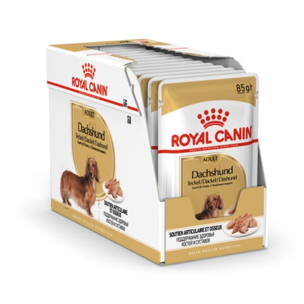 Royal Canin  Dachshund Adult (WET FOOD - Pouches) 12 x 85g - Image 7