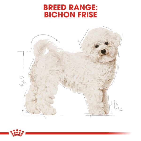 Royal Canin  Bichon Frise Adult 1.5 KG - Image 2