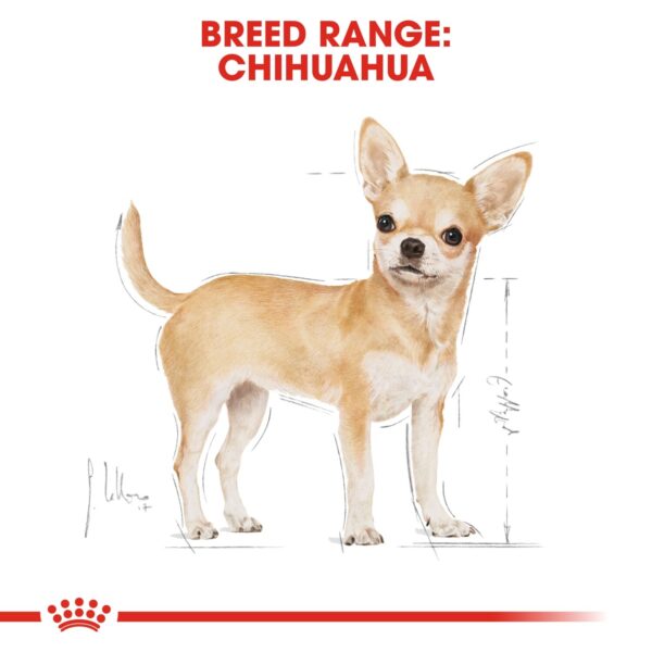 Royal Canin  Chihuahua Adult 1.5 KG - Image 3