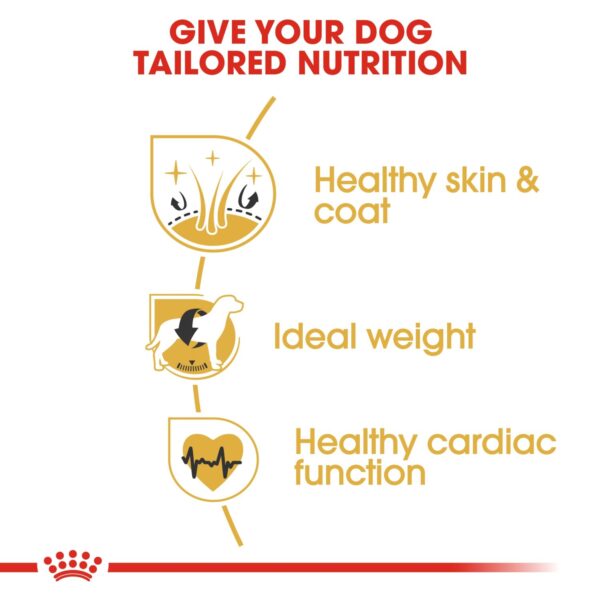 Royal Canin  Cocker Adult 3 KG - Image 5