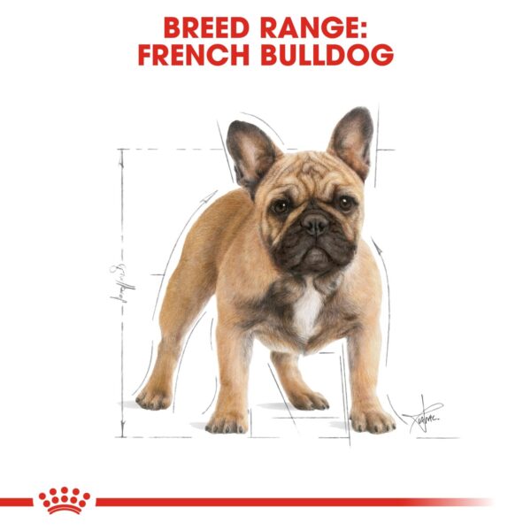 Royal Canin  French Bulldog Adult 3 KG - Image 4