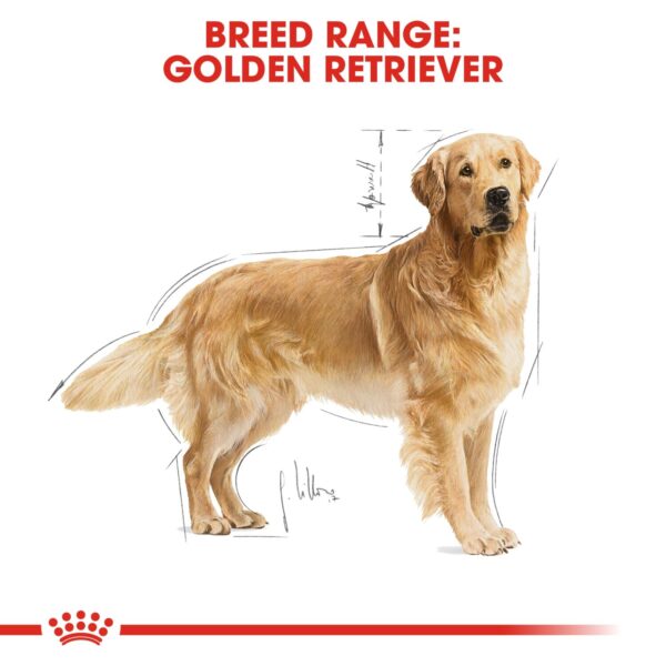 Royal Canin  Golden Retriever Adult 12 KG - Image 5