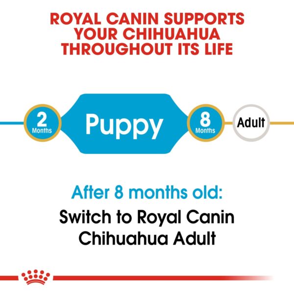 Royal Canin  Chihuahua Puppy 1.5 KG - Image 3