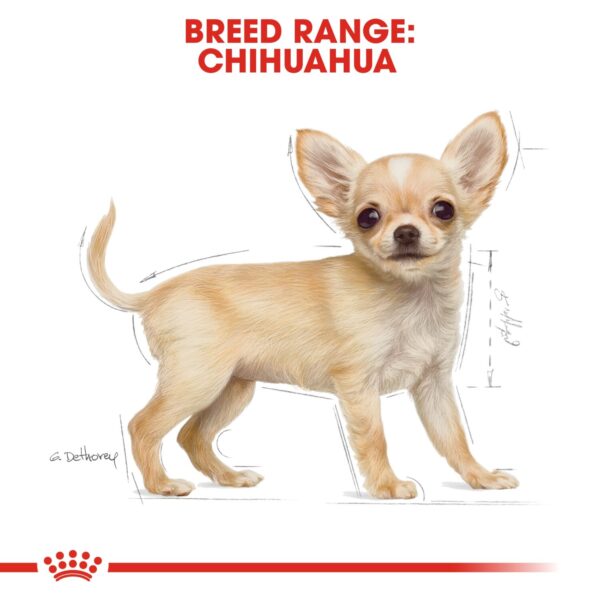 Royal Canin  Chihuahua Puppy 1.5 KG - Image 5