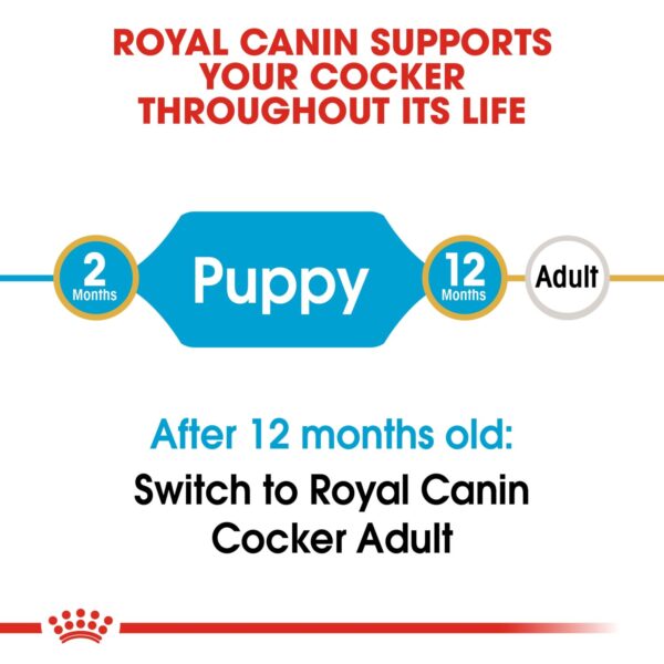 Royal Canin  Cocker Puppy 3 KG - Image 3