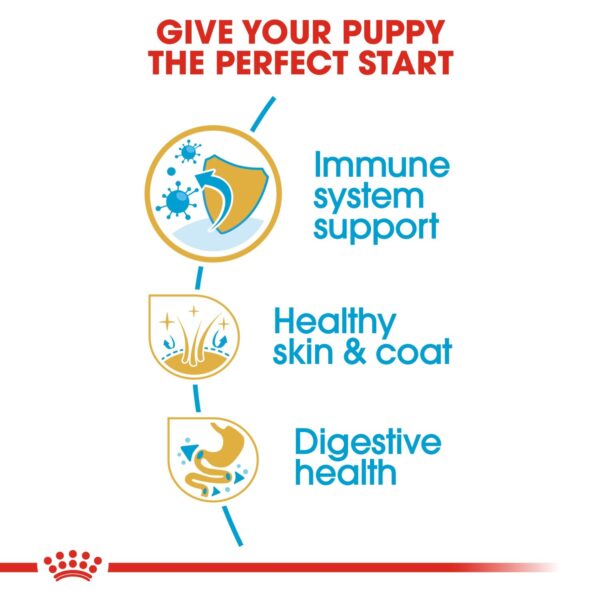 Royal Canin  Cocker Puppy 3 KG - Image 4