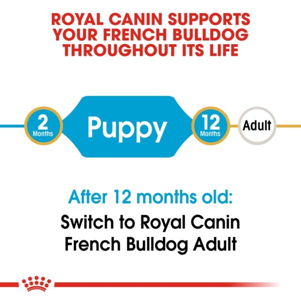 Royal Canin  French Bulldog Puppy 3 KG - Image 2