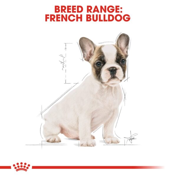 Royal Canin  French Bulldog Puppy 3 KG - Image 3