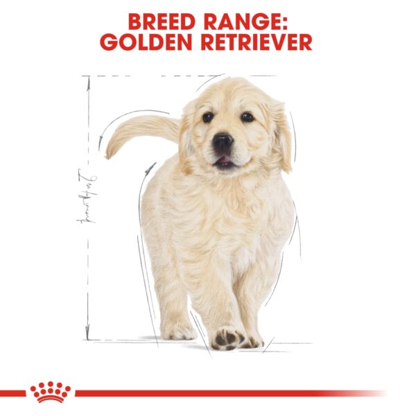 Royal Canin  Golden Retriever Puppy 12 KG - Image 4