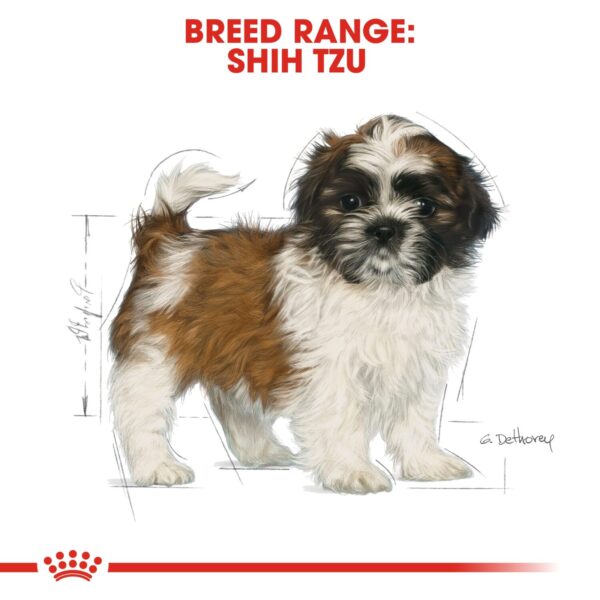 Royal Canin  Shih Tzu Puppy 1.5 KG - Image 5