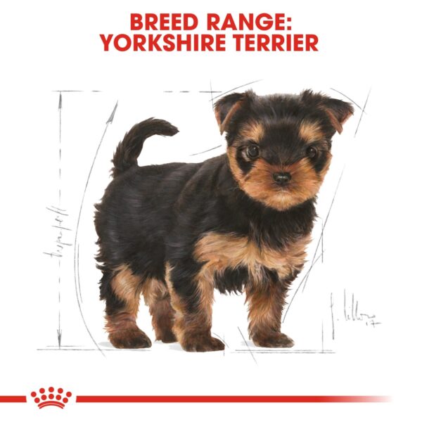 Royal Canin  Yorkshire Puppy 1.5 KG - Image 5