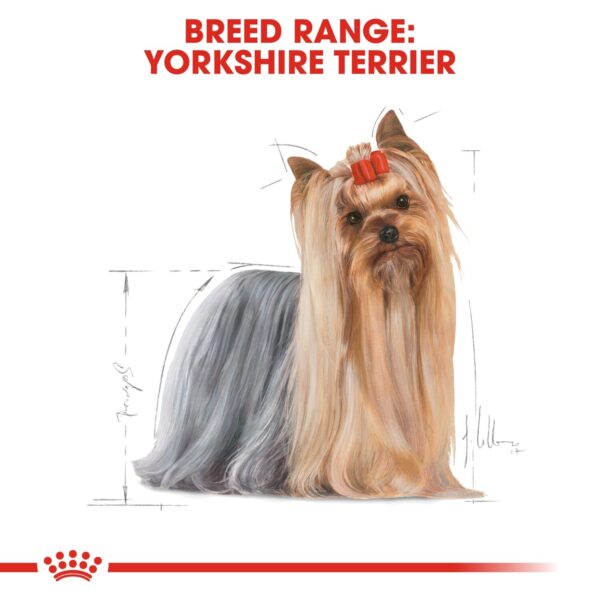 Royal Canin  Yorkshire Adult (WET FOOD - Pouches) 12 x 85g - Image 4