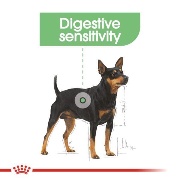 Royal Canin  Mini Digestive Care 3 KG - Image 2