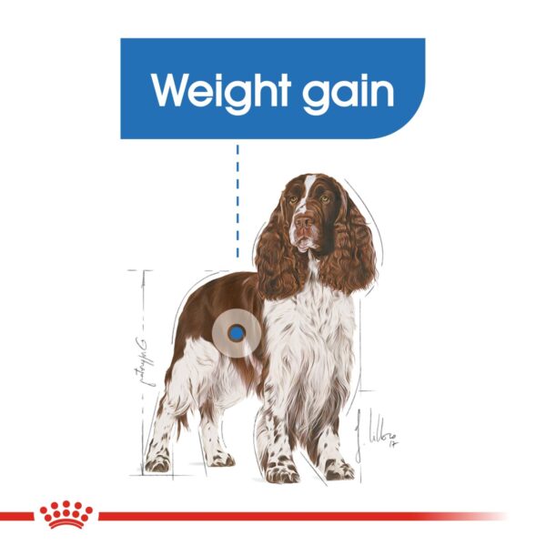 Royal Canin  Medium Light Weight Care 3 KG - Image 3